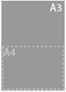 A3
